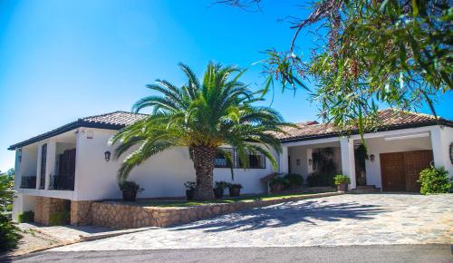uma casa com uma palmeira em frente em Villa Altozano with pool, barbeque, large garden, and fantastic sea views em Benidorm