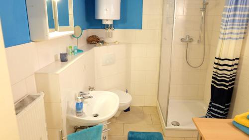 een badkamer met een wastafel, een toilet en een douche bij Sylvias Ferienwohnung Nr6 souterrain in Görlitz