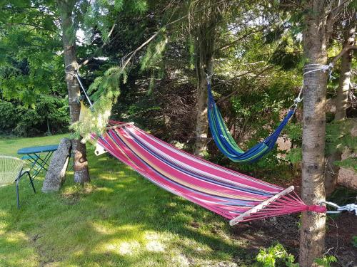 two hammocks hanging from trees in a yard at Biały Żagiel - Dom do wynajęcia Pluski in Pluski