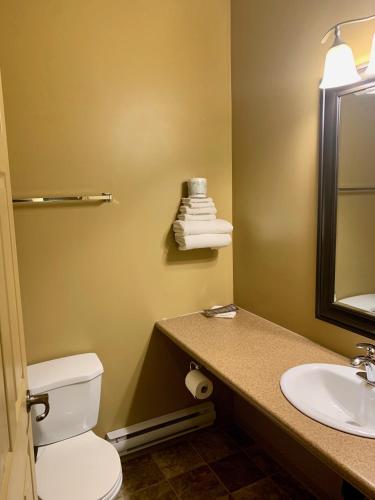 a bathroom with a toilet and a sink and a mirror at Altona Hotel in Altona
