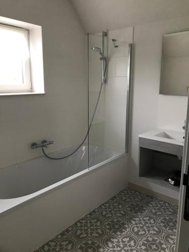 a bathroom with a shower and a sink at Oscaar vakantiewoning in bos in Koekelare