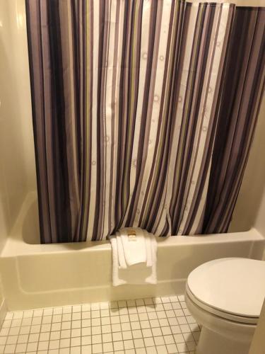 a bathroom with a shower curtain and a toilet at La Quinta by Wyndham Plattsburgh in Plattsburgh