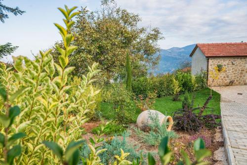 a garden with a cactus and a building at Anotopos in Ano Trikala