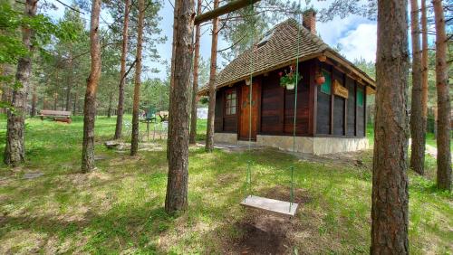 eine kleine Hütte mitten im Wald in der Unterkunft Vajat Kovačević in Divčibare