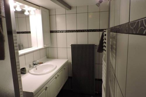 La salle de bains est pourvue d'un lavabo et d'un miroir. dans l'établissement Gite BUSSANG, à Bussang