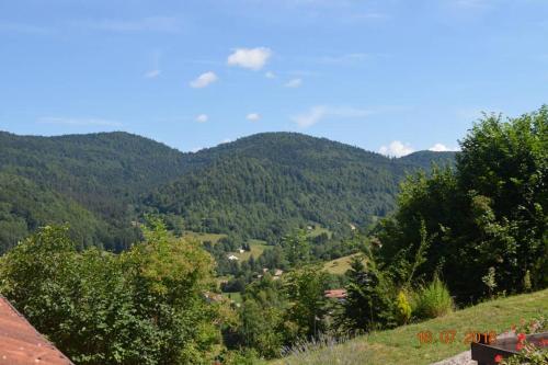 Elle offre une vue sur une vallée avec des arbres et des montagnes. dans l'établissement Gite BUSSANG, à Bussang