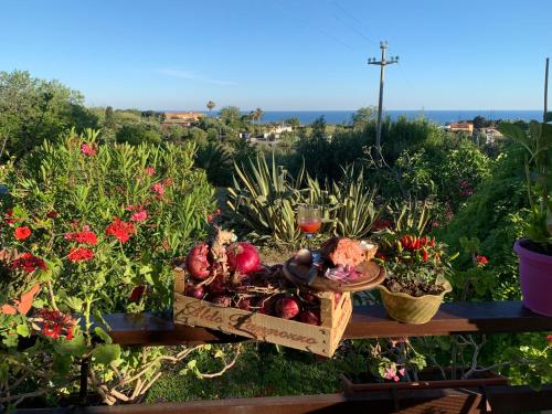 B&B A casa di Picci – Photos 2