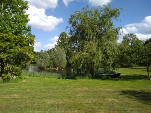 un parque con un río, un árbol y un barco en Landgoed Wittelte Dwingeloo, en Wittelte