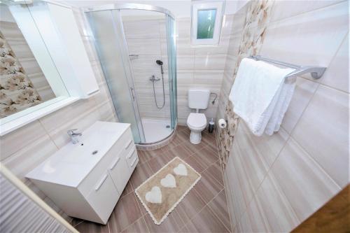 a bathroom with a shower and a toilet and a sink at Landhaus am Berg in Rab