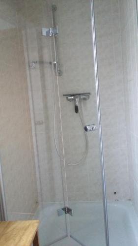 y baño con ducha y puerta de cristal. en Ferienhaus 1 en Elbingerode