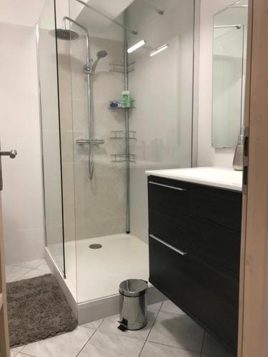 La salle de bains est pourvue d'une douche en verre et d'un lavabo. dans l'établissement Appartement confortable près de la plage Catalane et Pharo, à Marseille