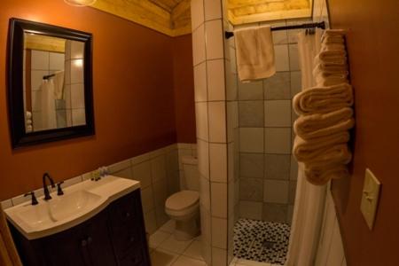 a bathroom with a shower, sink, and toilet at Denali Tri-Valley Cabins in Healy