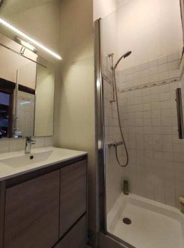 a bathroom with a shower and a sink and a tub at Habitation Saint-Clar Vieille Ville in Bergerac