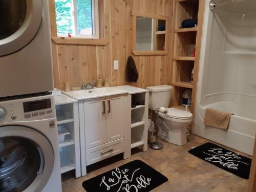 uma casa de banho com um lavatório e uma máquina de lavar roupa em Big Axe Bed & Breakfast em Otis