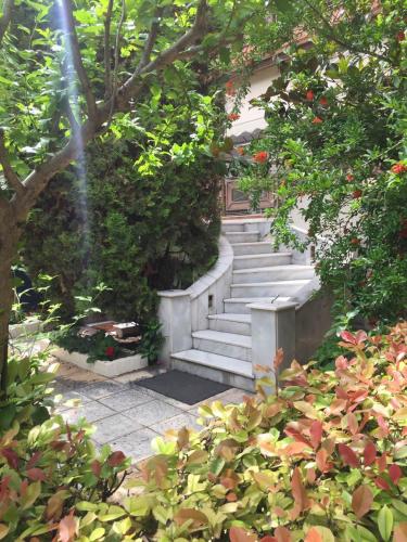 Κήπος έξω από το Xsoma Flats "Studio"