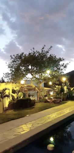 a house with a pond in a yard at night at Finca Catalina Hotel Boutique in Tepoztlán