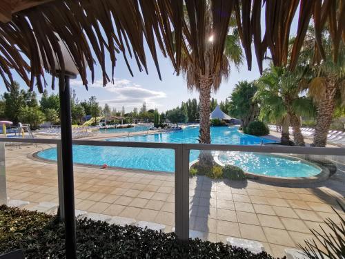 a view of a swimming pool with palm trees at La Carabasse / Mazet 69 in Vias