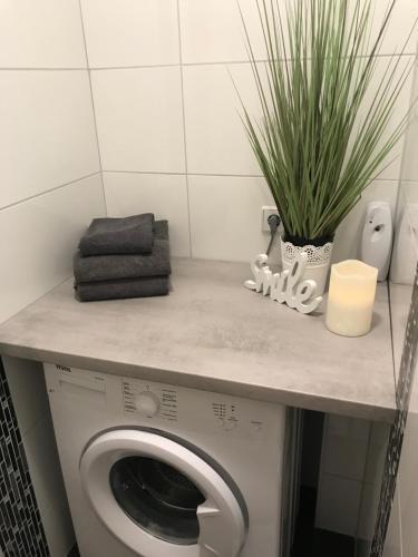 een wasmachine in een badkamer met een plant op een aanrecht bij Ferienwohnung Viktoria in Gotha