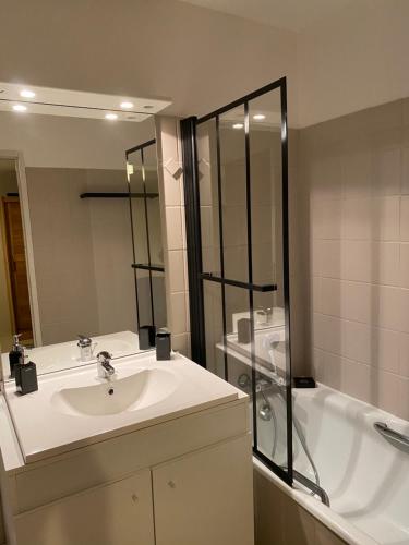 a bathroom with a sink and a shower and a tub at Soie Villalunoterie Futuroscope Piscine Spa 6pers in Oyré