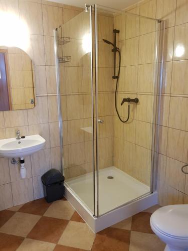 a bathroom with a shower and a toilet and a sink at Chatka Julki in Goszów