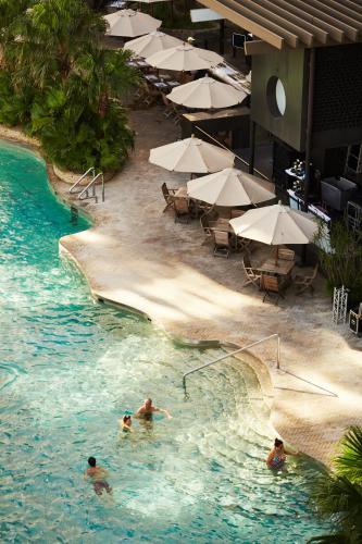 a group of people swimming in a swimming pool with umbrellas at Grand Hyatt Hong Kong in Hong Kong