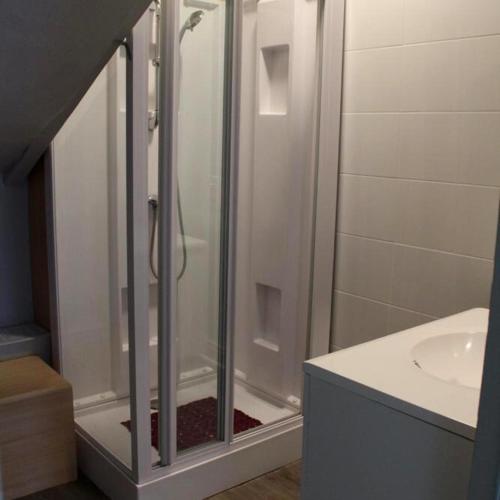 une salle de bain avec douche et lavabo dans l'établissement Gîte à la campagne - Etat Nature, à Magnières