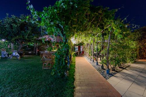 a row of trees in a park at night at Hotel Ariadimari in Valledoria