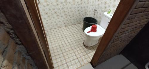 a bathroom with a toilet with a red hat on it at Homestay Kurnia in Bantul