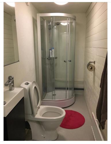 a bathroom with a shower and a toilet and a sink at Apartment nr 1 with shared bathroom in Kiruna C in Kiruna