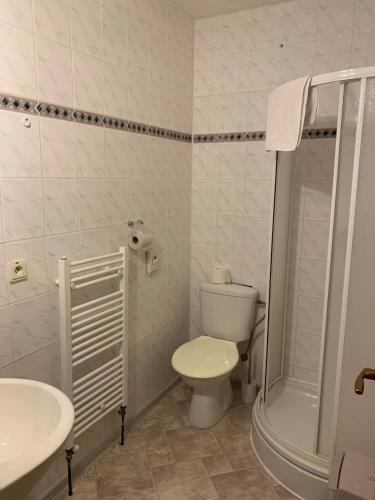 a bathroom with a toilet and a shower and a sink at Penzion Centrum in Sklené Teplice