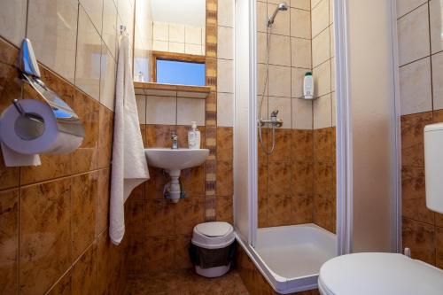 ein Badezimmer mit Dusche, Toilette und Waschbecken in der Unterkunft Gorczański Kącik in Ochotnica Dolna