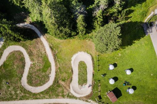 an overhead view of a road in a field with sheep at Hotel Sella***s in Selva di Val Gardena