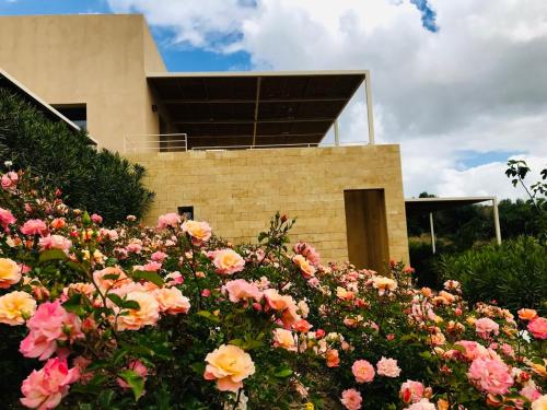 a field of flowers in front of a building at Case Graffeo in Menfi