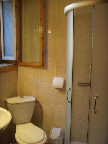 a small bathroom with a toilet and a shower at Villa Doina in Voronet