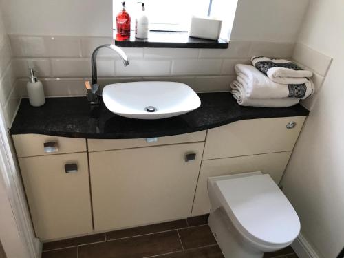 a small bathroom with a sink and a toilet at Wagtail Cottage in Tarporley