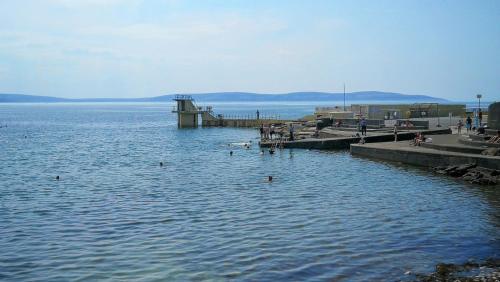 a group of people swimming in the water near a pier at The Nest Boutique Hostel in Galway