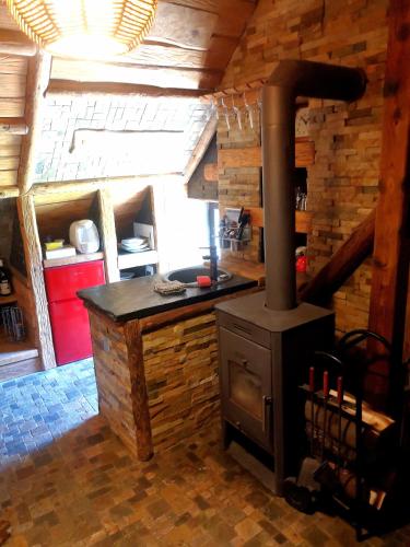 a kitchen with a wood stove in a cabin at Aspen in Kamenný Újezd