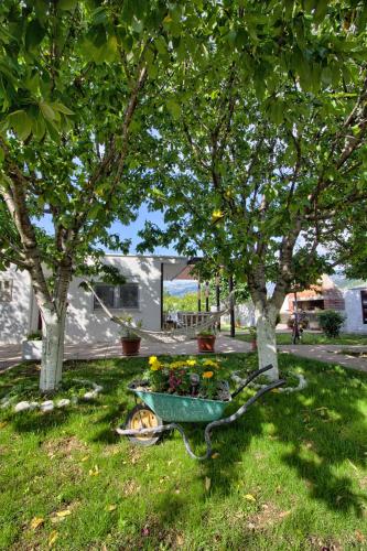 Κήπος έξω από το Vacation house Vila Guma Rastani Mostar