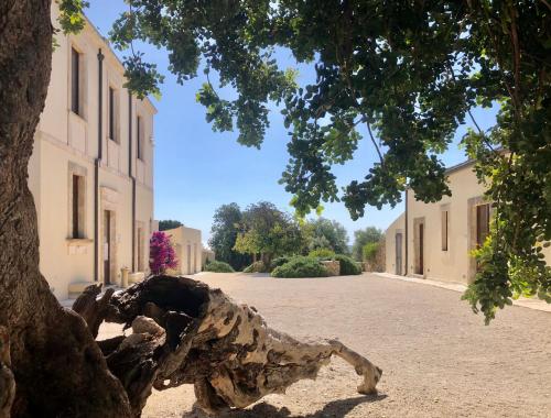 a tree in the middle of a street at Pantanelli Di Vendicari in Casa Maccari