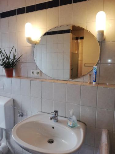 a bathroom with a sink and a mirror at Goslar Ferienwohnung im Harz in Neuwallmoden