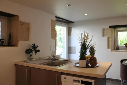 a kitchen with a sink and a counter with plants at Cottage d'Exception - Coeur de Normandie in Vienne-en-Bessin