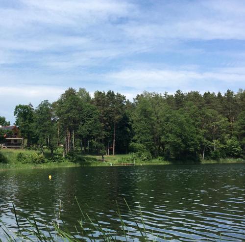 a view of a lake with trees in the background at Nad Wiartlem in Wiartel