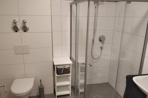 a bathroom with a shower and a toilet and a sink at Märzenburghof in Kaufbeuren