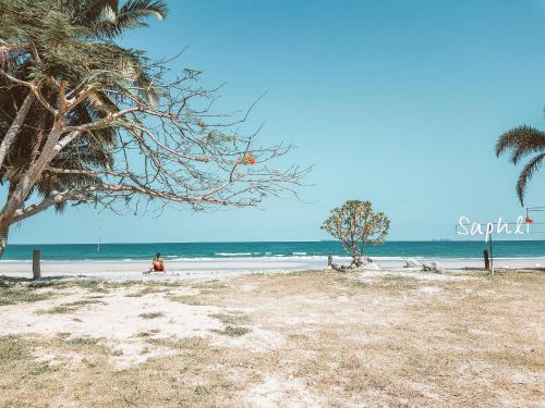 a beach with a palm tree and the ocean at Saphli Villa in Chumphon