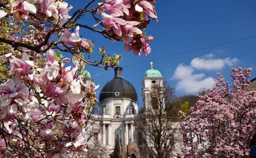 a building with a dome in the background with pink flowers at Hotel Vogelweiderhof in Salzburg