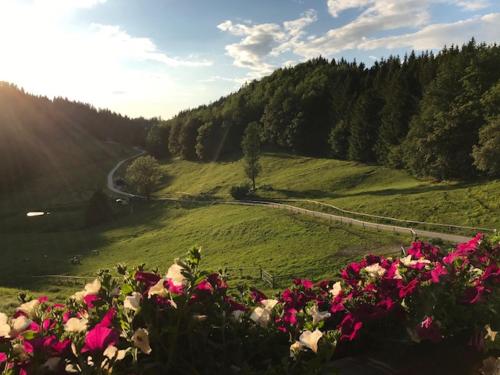 a green field with pink flowers and a road at Ferienwohnung Hochsteinalm in Traunkirchen