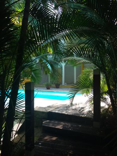 a swimming pool with palm trees in the foreground at Chambre d'hôte et Loft dans maison de charme piscine à débordement La Villa Gialla in Schœlcher
