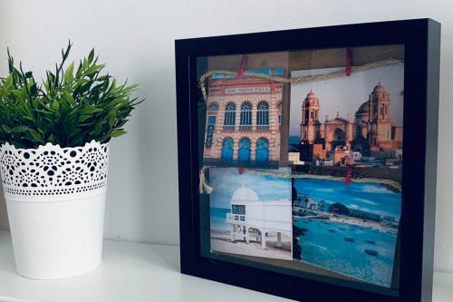 una pianta in un vaso accanto a una foto di un edificio di Bonito apartamento junto al Gran Teatro Falla a Cadice