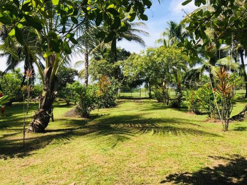 Jardín al aire libre en All Rankins Eco-Lodge