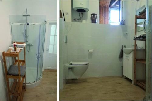 twee foto's van een badkamer met een toilet en een douche bij Apartament Barbara - przy rynku in Wadowice